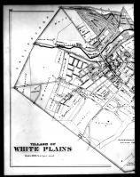 White Plains 2 Left, Westchester County 1881
